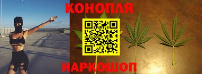 МДПВ Татарск
