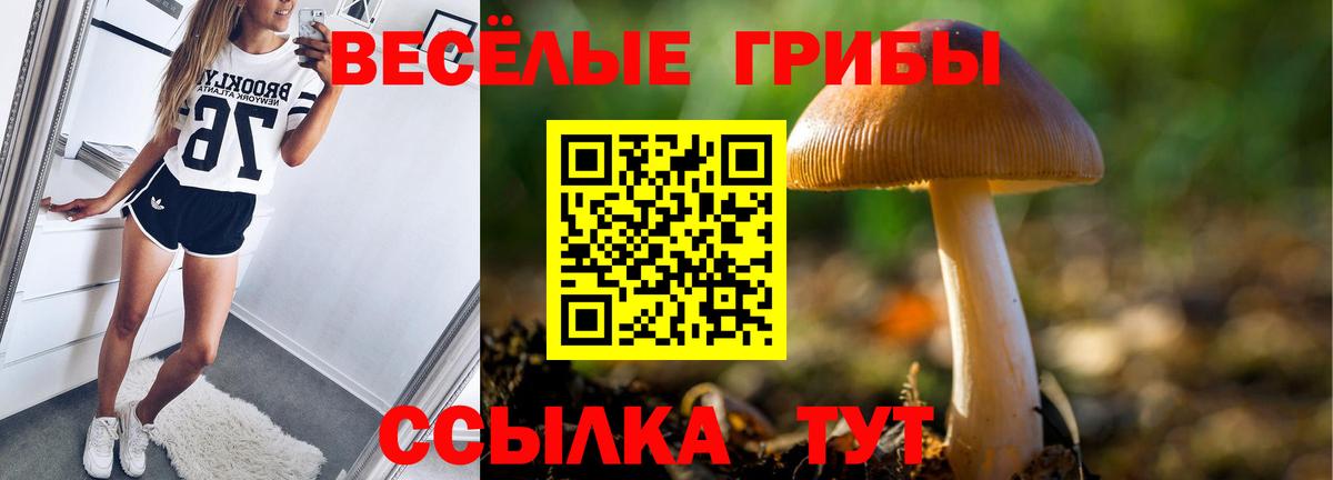 Псилоцибиновые грибы Psilocybine cubensis  Вход с VPN  Псилоцибиновые грибы Magic Shrooms  Приморско-Ахтарск 